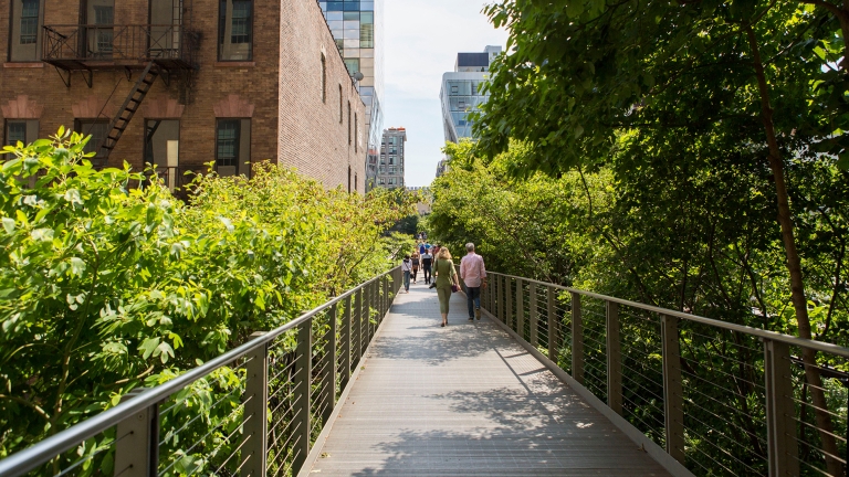 The High Line, Photo by Brittany Petronella