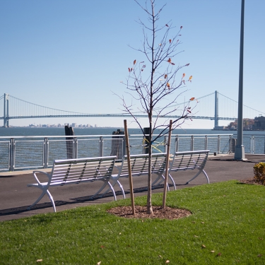 A riverside park, New Stapleton Waterfront, with a metal bench facing the water. A young, bare tree stands nearby. In the background, a suspension bridge stretches across the river beneath a clear blue sky. A strip of green grass and some shrubs are in the foreground. A riverside park, New Stapleton Waterfront, with a metal bench facing the water. A young, bare tree stands nearby. In the background, a suspension bridge stretches across the river beneath a clear blue sky. A strip of green grass and some shrubs are in the foreground.