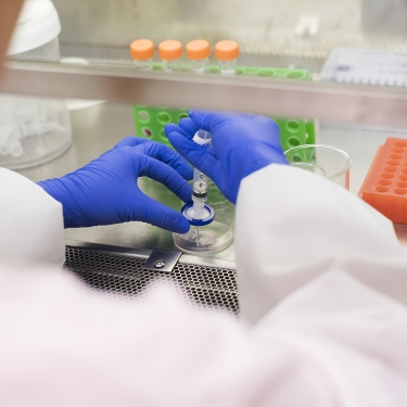 Asian scientist using syringe and petri dish Asian scientist using syringe and petri dish